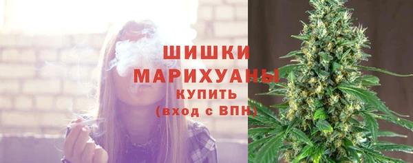 винт Богородицк