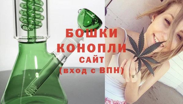 ГАЛЛЮЦИНОГЕННЫЕ ГРИБЫ Сосновка