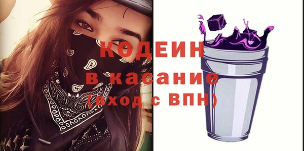 соль ск Сосновоборск